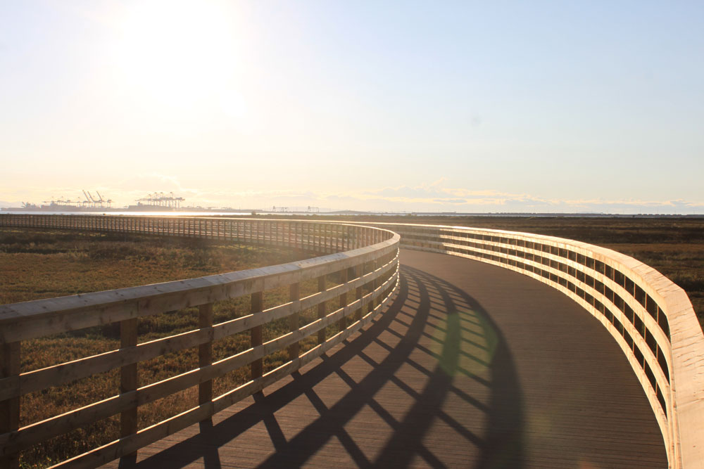 Helical piles Foundation Estuary Boardwalk Tsawwassen Bc Canada TerraCana